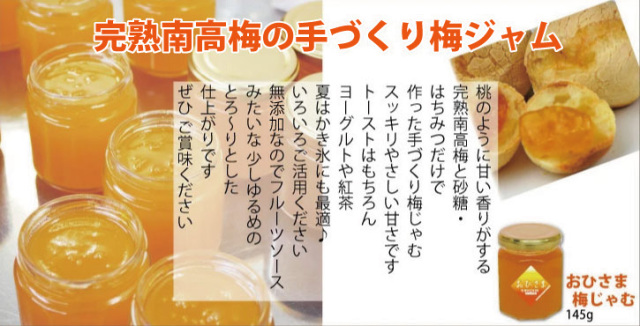 おひさま梅じゃむ 紀州 南高梅 完熟梅ジャム 145g 瓶入 × 3個