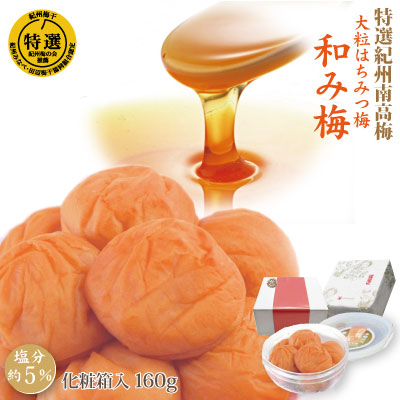 紀州 特選南高梅 和み梅 160g 化粧箱 塩分約５％ 大粒はちみつ梅 和歌山 みなべ 自家梅園産 梅干