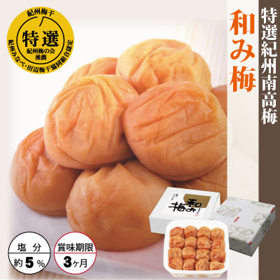 6月中旬頃より順次発送予定【予約販売】【紀州みなべ産】梅干用