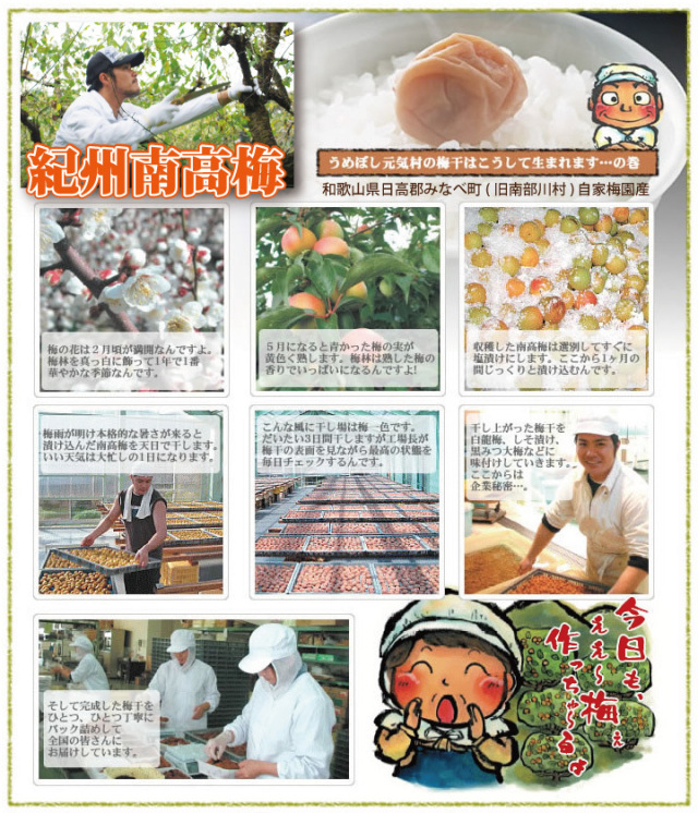 特選 紀州 南高梅 詰合せ 「梅ようび」 梅干 6種 各100g 和歌山