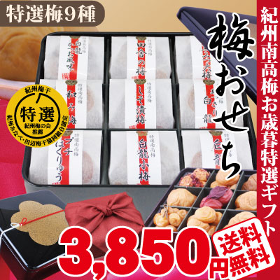 送料無料 特選 梅おせち お歳暮 ギフト お年始 特選 完熟 高級紀州南高梅 甘口はちみつ梅他 人気の9種 計500g詰 特製梅柄重箱詰 風呂敷包み 梅干し 梅干 お土産 詰合せ 和歌山 みなべ 自家梅園産