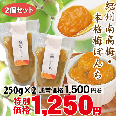 梅ぽんち 紀州南高梅のコンポート 250g×2 スタンドパック詰 添加物不使用 和歌山 みなべ 自家梅園産 梅 シロップ漬