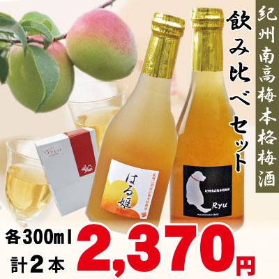 送料無料 弔事用 特選 紀州 南高梅 白梅 二段重 高級和紙包 2種 18包