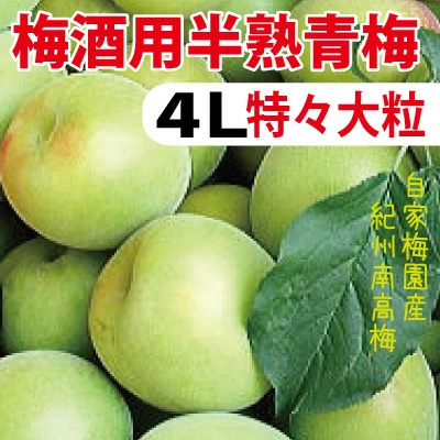 青梅5キロ（箱込み）　6月7日（土）収穫　サイズはL以上 09f1b164bcb61e7e0b09d6e14ffccd