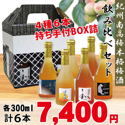 本格梅酒 4種 詰合わせ 熟成梅酒あかつき・日本酒仕込み ZIPANG・本格梅酒 Ryu・ にごり梅酒 はる姫 各300ml 計6本 和歌山 GI 梅酒 みなべ 自家梅園産