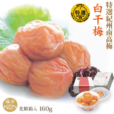 特選 紀州南高梅 白干梅 160g 化粧箱 塩分約22％ 自家農園産 和歌山 みなべ 梅干し 保存食 熱中症対策