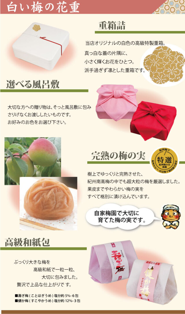 送料無料 紀州特選南高梅 詰合せ 白い梅の花重 高級和紙包 健か梅3包