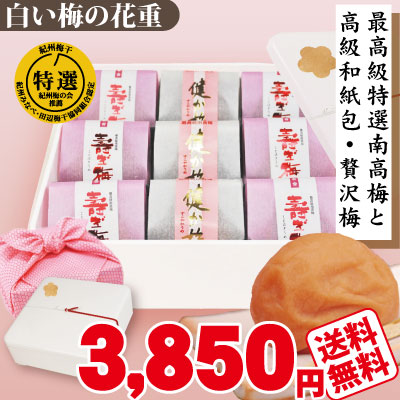 【baba】紀州南高梅 はちみつ梅 約5.5kg 特選 紀州 南高梅 はちみつ梅 塩分約5％ 500g 簡易包装 和歌山