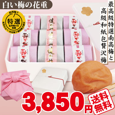 送料無料 紀州特選南高梅 詰合せ 白い梅の花重 高級和紙包 健か梅３包 寿ぎ梅６包 一段重 高級白重箱 選べる風呂敷 特選 極上 紀州南高梅 和歌山 みなべ 自家梅園産 ギフト