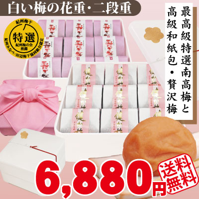 送料無料 紀州特選南高梅 詰合せ 白い梅の花重 高級和紙包 健か梅9包 寿ぎ梅9包 二段重 高級白重箱 選べる風呂敷 特選 極上 紀州南高梅 和歌山 みなべ 自家梅園産 冬 ギフト
