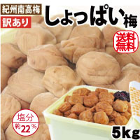 送料無料 紀州南高梅 訳ありしょっぱい梅 熱中症対策・非常用保存食に！通好み 塩分約22% 5kg詰 簡易包装 和歌山 みなべ 自家梅園産 紀州南高梅 梅干