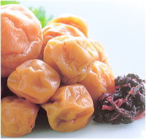小梅　完熟　大粒　確認用 梅 完熟の通販｜食べチョク｜産地直送(産直)お取り寄せ通販