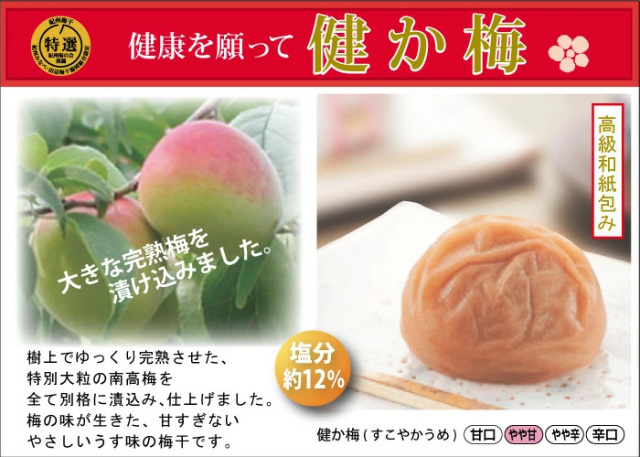 送料無料 紀州特選南高梅 詰合せ 白い梅の花重 高級和紙包 健か梅3包
