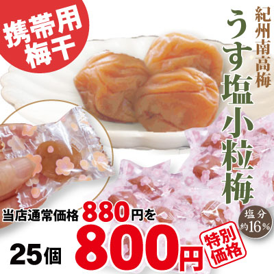 紀州南高梅 自家梅園産 梅とお塩の素朴なお味 うす塩小粒梅 25個 個包装 塩分約16％ 梅干 和歌山 みなべ 梅
