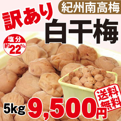 送料無料 紀州南高梅 訳あり白干梅 熱中症対策・非常用保存食に！通好み 塩分約22% 5kg詰 簡易包装 和歌山 みなべ 自家梅園産 紀州南高梅 しょっぱい 梅干