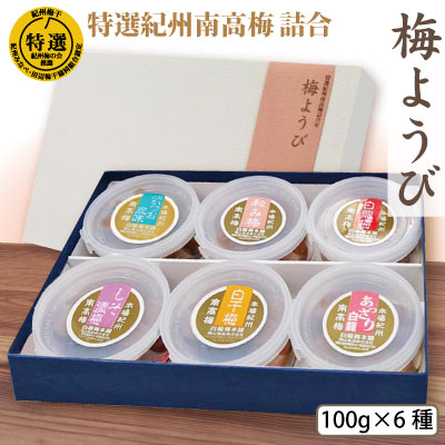 梅干詰合せ 白龍梅本舗
