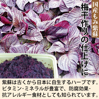 2026年産 もみ紫蘇  国産 着色料無添加 ７００ｇ詰  塩分約20％ 簡易包装 送料無料 ゆうメール便