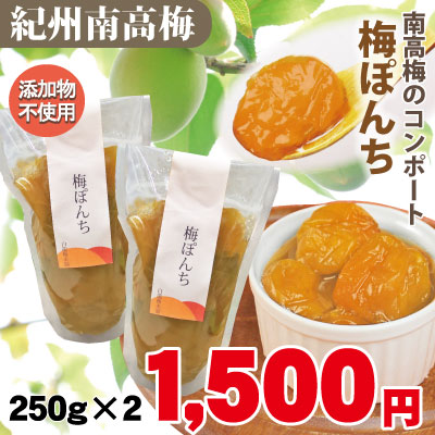 梅ぽんち 紀州南高梅のコンポート 250g×2 スタンドパック詰 添加物不使用 和歌山 みなべ 自家梅園産 梅 シロップ漬