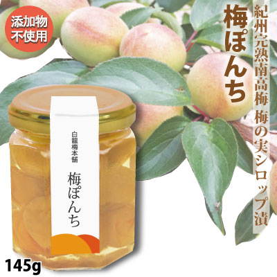 梅ぽんち 紀州南高梅のコンポート 145g 瓶入 添加物不使用 和歌山 みなべ 自家梅園産 梅 スイーツ シロップ漬