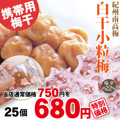 紀州南高梅 白干小粒梅 ピロ包 25個 塩分約22％ 自家農園産 和歌山 みなべ 梅干し 保存食 熱中症対策