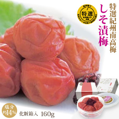 紀州 特選 南高梅 しそ漬梅 160g 化粧箱 塩分約14％ 和歌山 みなべ 梅干