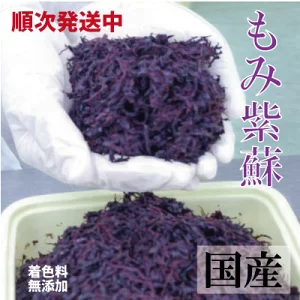 2025年産 もみ紫蘇 しそ 国産 着色料無添加 1500g詰  塩分約20％ 簡易包装 送料無料