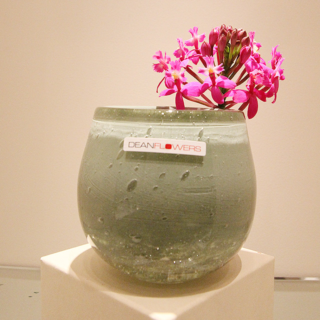 HenryDean （ヘンリーディーン） H.Clovis/mineral ハマフローリスト