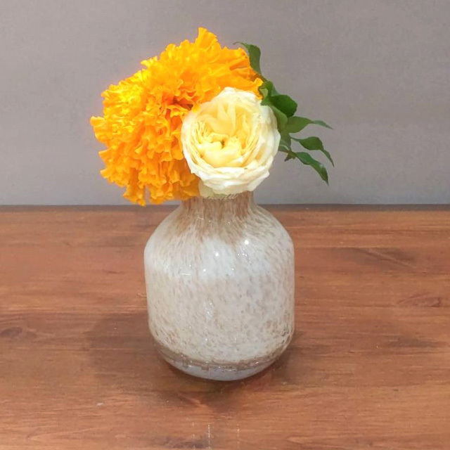 Henrydean ヘンリーディーン V Barbat Xs リンクス ハマフローリスト