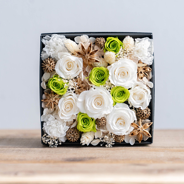 2025holiday_Preserved_Box_L_[White]