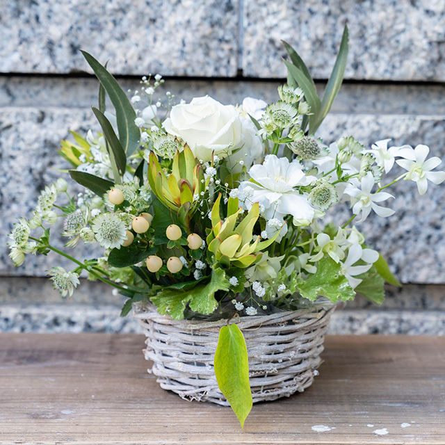 【選べるカラーバリエーション】おまかせアレンジ 11000