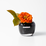 フラワーベース Henry Dean/DEAN FLOWERS（ヘンリーディーン/ディーン