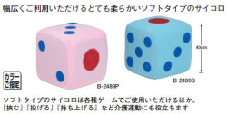 B2489【ハマノスポーツ】