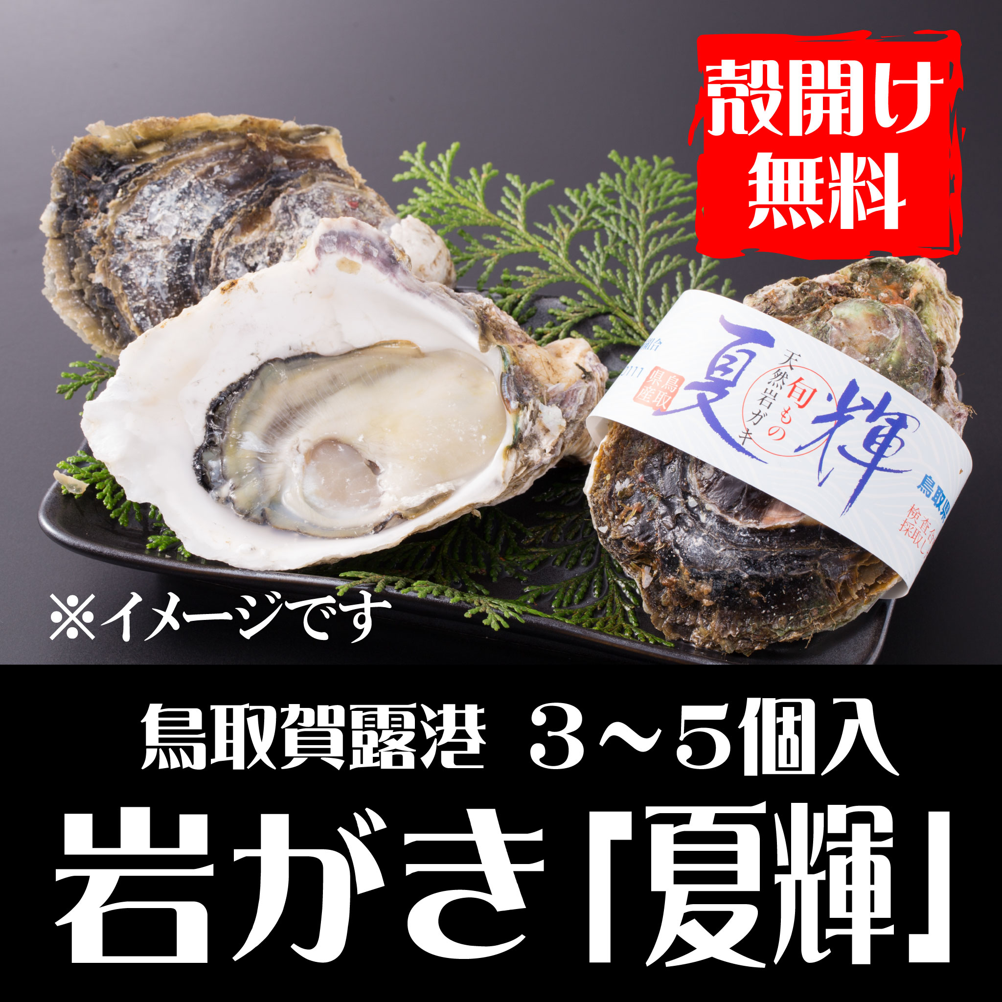 【予約販売】鳥取賀露港　天然岩がき「夏輝」（3～5個セット）