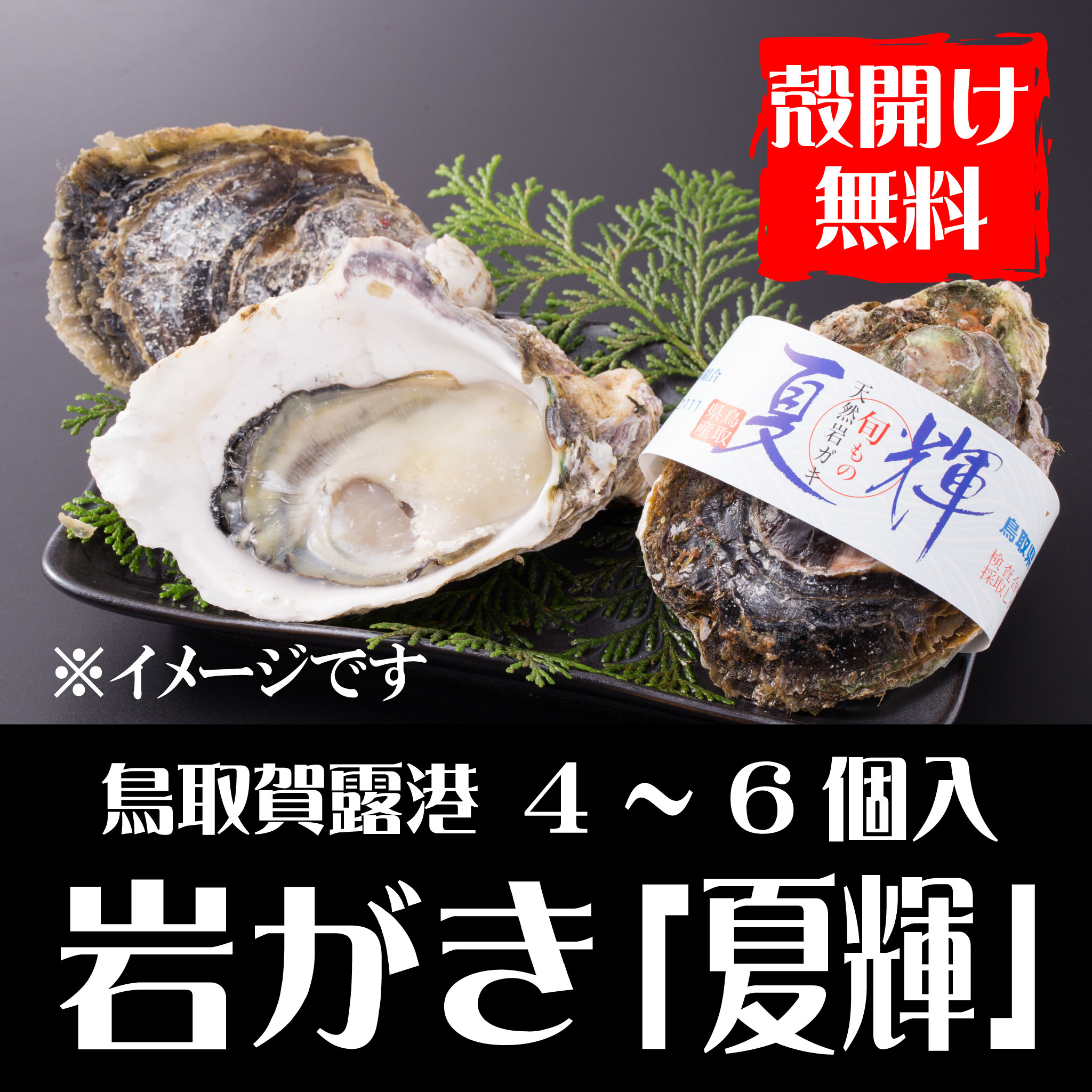 【予約販売】鳥取賀露港　天然岩がき「夏輝」（4～6個セット）