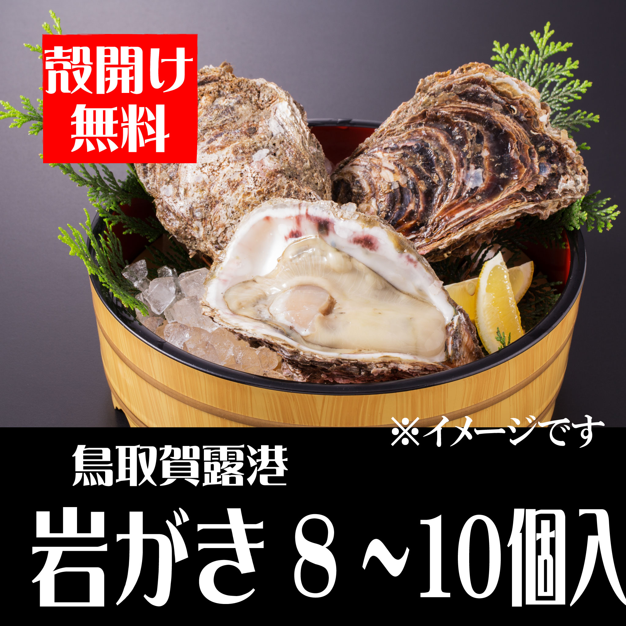 【予約販売】鳥取賀露港　天然岩がき（8～10個セット）