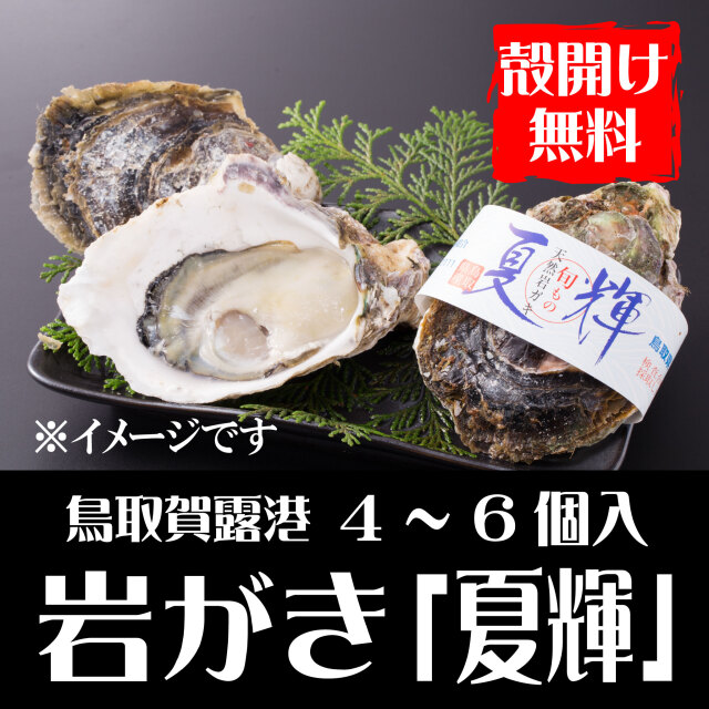 【予約販売】鳥取賀露港　天然岩がき「夏輝」（4～6個セット）