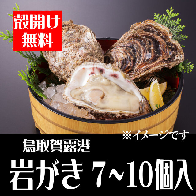 【予約販売】鳥取賀露港　天然岩がき（7～10個セット）