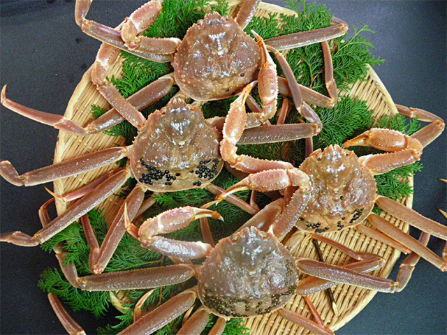 松葉がに（足1～4本落ち）4枚入り1.2kg以上