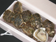 岩牡蠣