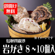 【予約販売】鳥取賀露港　天然岩がき（8～10個セット）