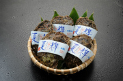 夏輝