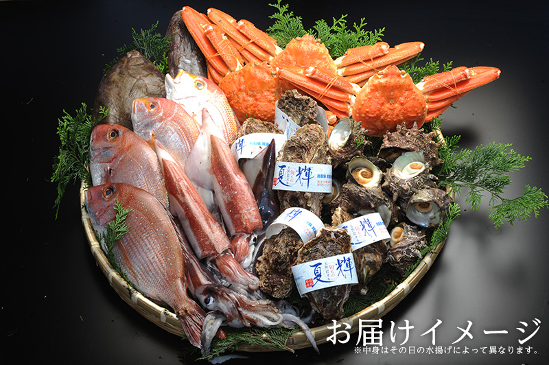 鮮魚Bセット（モサエビ無）