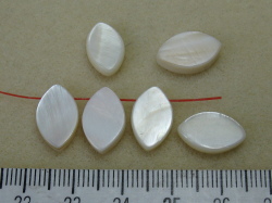 シェルパーツ　14×9㎜　オーバル・よこ穴中央やや上