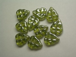 グレープリーフ（10×8m）　ラスターオリーブ