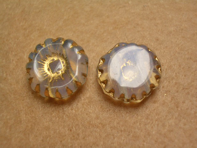 ひまわり・ミルキーホワイト