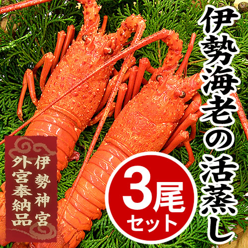 伊勢海老の活蒸し ３尾 [冷凍]