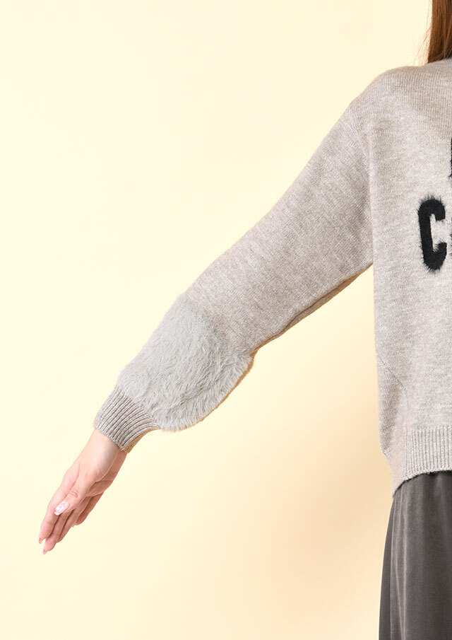 フェザー使いプルオーバーロゴニット