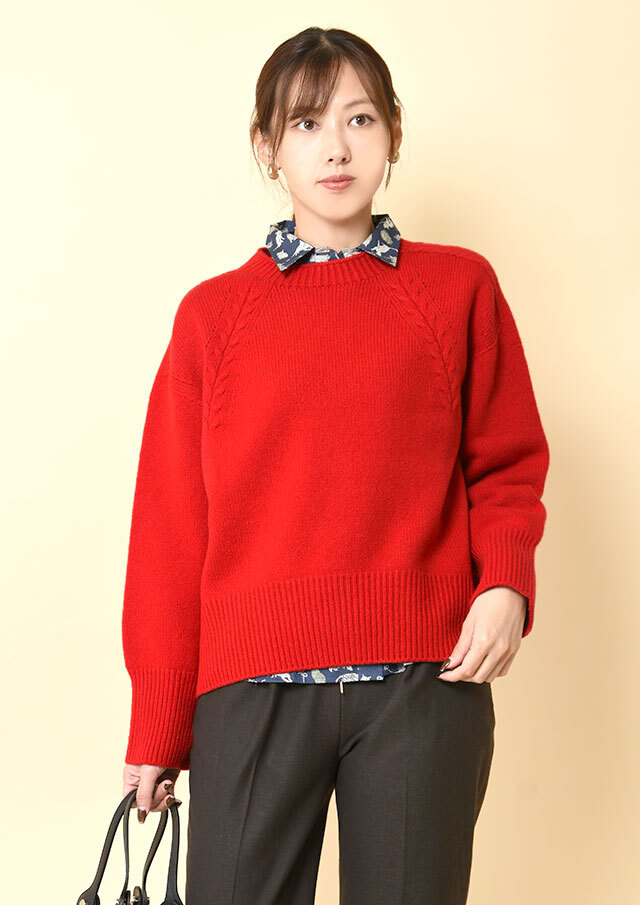 ◆タスマニアラムウールクルーネックプルオーバーニット【H81409】【26】