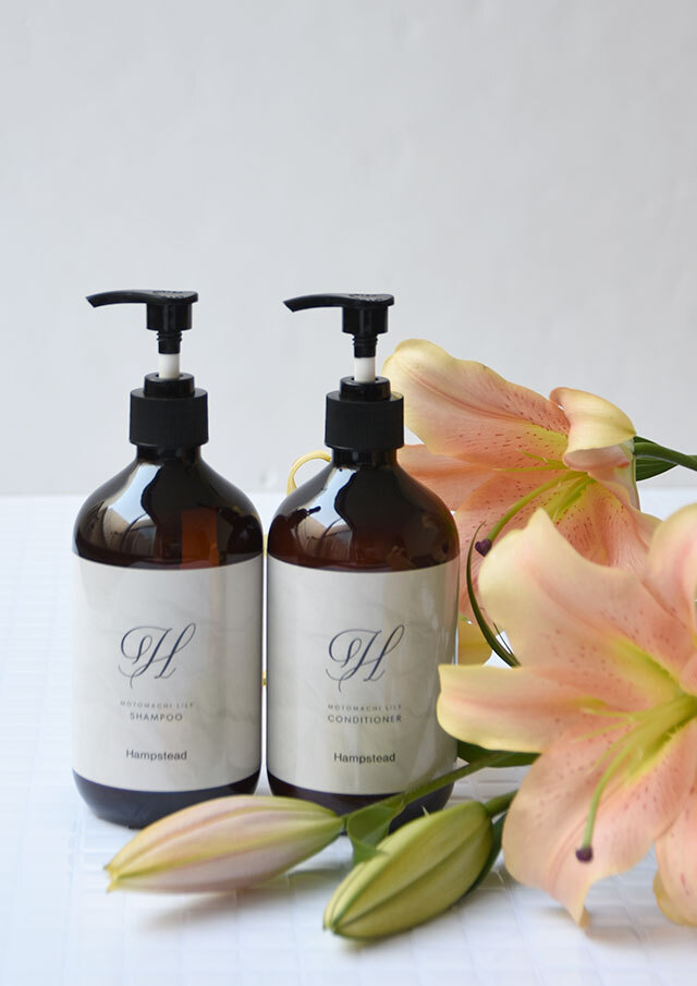 ◆ノンシリコーンシャンプー【HL-SHAMPOO】【80】