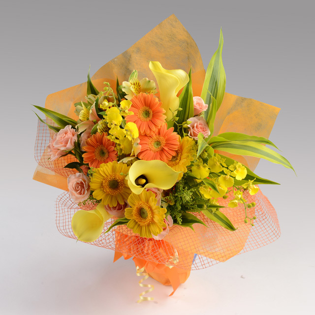 サニーメイアン